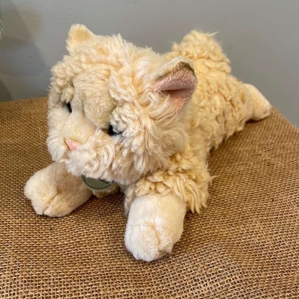 Adorable beige kitty cat laying down super cute